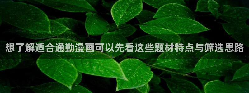 樱花日语学习APP