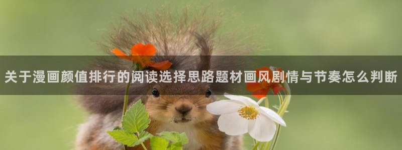 樱花日语考级资料