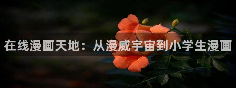 樱花日语汉字学习